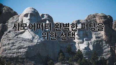 시모어퍼터: 완벽한 퍼팅을 위한 선택