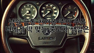 남원 금동, 천거동 주민 주목! 🚗 나에게 딱 맞는 중고차 색깔은?