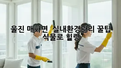 울진 매화면, 🏡 #실내환경관리 꿀팁: 식물로 힐링🌿